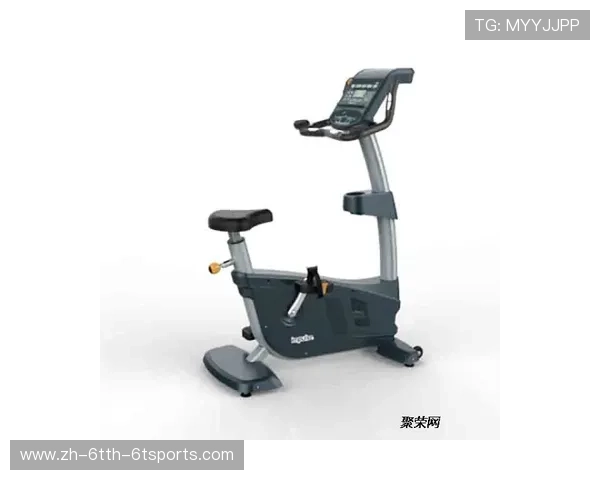 立式健身器材适合哪些类型的训练方式